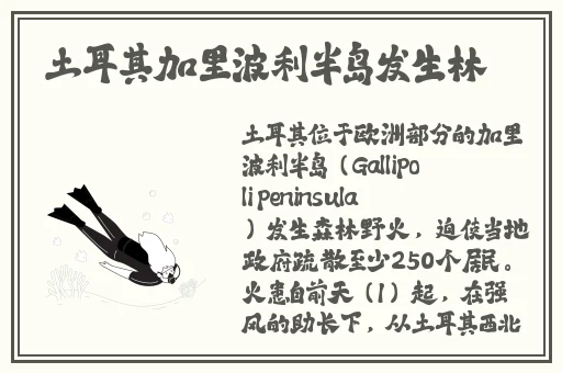 无码AV天堂一区二区三区